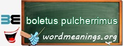 WordMeaning blackboard for boletus pulcherrimus